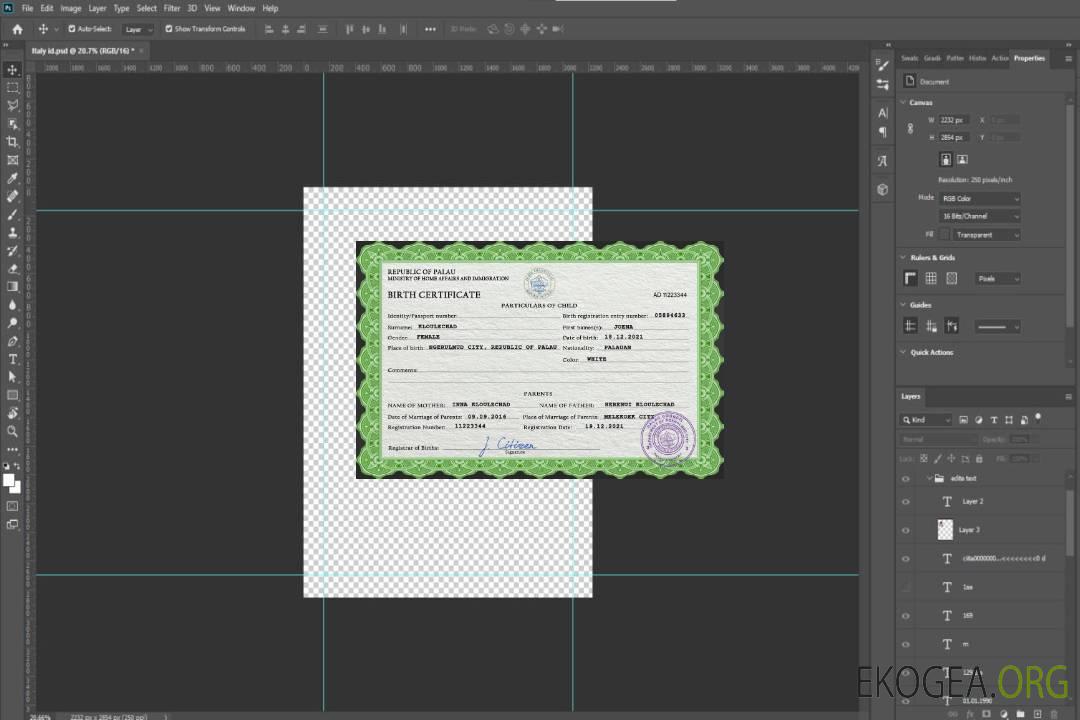 Modèle PSD de certificat de naissance des Palaos template